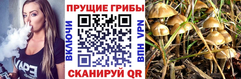 даркнет сайт  Верхняя Тура  Галлюциногенные грибы Cubensis 